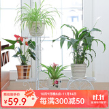 思故轩（SIGUXUAN）落地花架铁艺花盆架多层阳台客厅户外绿萝花架收纳装饰架爬藤花架 H904白色【62*26*69cm】