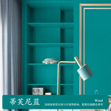 臻蒂 水性木器漆透明室内家具门窗翻新修补彩色面漆防水净味改色木漆 蒂芙尼蓝 1kg