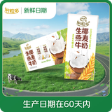 伊利【新鲜日期】谷粒多 生椰燕麦牛奶 200ml*12盒 礼盒装 低GI食品