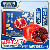 田良季突尼斯软籽石榴【多地次日达】会理新鲜中秋超红水果无籽送礼礼盒 树顶向阳果丨9斤礼箱丨更红更甜 至臻巨无霸丨单果450-500g+丨爆甜多汁