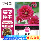 花沃里蜀葵花种子约200粒 花卉种子盆栽阳台种菜土四季草籽阳台庭院田间