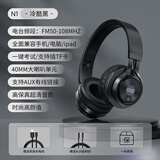 品存（picun） 【考试专用】英语四六级听力耳机大学生考试调频FM收音头戴式蓝牙托福雅思听力考试耳机 N1蓝牙版丨FM调频丨黑色