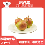 京鲜生 河北酥润香梨 净重3斤 单果120g+ 源头直发