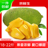 京鲜生 海南菠萝蜜 18-22斤 净重18斤 生鲜水果 源头直发