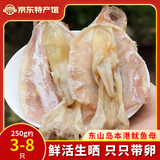 海鲜颂生晒鱿鱼母带卵鱿鱼干海产品福建东山特产鱿鱼干 海鲜干货 年货礼 鱿鱼母250g约(3-8条）