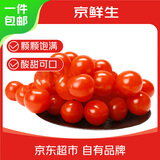京鲜生＆富美鹤城 樱桃番茄净重430g*2盒 脆甜小西红柿 源头直发