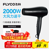 飞科（FLYCO）电吹风机家用便携冷热风护发速干吹风筒2000w大功率FH6231