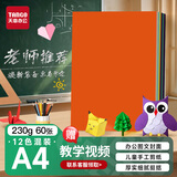 天章 （TANGO）【老师推荐】A4 12色硬卡纸加厚彩色封面纸 儿童手工折剪纸 DIY绘画纸 十二色混装 230g 60张/包
