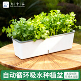 九千谷种菜盆长方形 家庭种植盆蔬菜塑料长条花盆槽双层加厚小号6195