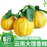 云南香橼果 大理香缘特产鲜果大果佛手柑新鲜水果 精选6斤装包邮 2斤香橼【个数随机】 青黄随机