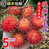 【顺丰】海南红毛丹毛荔枝 新鲜水果应季热带水果大果 老树大果 2斤