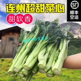 桃西村【顺丰直达】正宗广东迟菜心连州菜心农家自种新鲜蔬菜清甜无渣菜 5斤 优选礼盒装