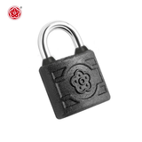 梅花（BLOSSOM）防水挂锁学校家用门锁柜门抽屉锁 32mm防盗窗锁BC9132