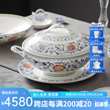 华光国瓷 骨瓷餐具套装碗碟套装 斗彩 国彩天姿21头礼盒套装 限量版 礼盒装 20头