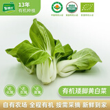 有机汇有机奶白菜 生鲜矮脚黄青菜小油菜 宝宝辅食 有机无农残 当天采摘 250g