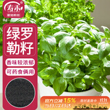 寿禾 罗勒种子苗食用香草绿色盆栽种植香草种籽 潍丰寿艺罗勒种子5g