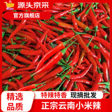 京源采云南小米辣椒新鲜泡椒农家小米椒9斤朝天辣椒指天椒鲜红辣椒批发 净重5斤装 2500g