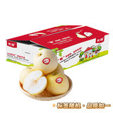 趣尝鲜 长城黄金梨 单果300g+ 净重5斤 水果 1号会员店 源头直发