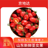 京地达山东圣女果小番茄 净重4.5斤 单果8g+ 水果小番茄源头直发包邮