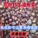 毛栗今年野生贵州栗子新鲜老树正宗贵州油栗毛栗子高山新鲜小板栗 贵州野生板栗 5斤 香甜软糯