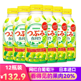三佳利（Sangaria）日本进口三佳丽饮料果汁含果肉网红饮料380g瓶装聚会用餐 20%白葡萄 380g*12瓶