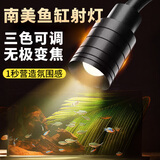 坤宁王鱼缸灯led灯南美鱼缸专用射灯溪流造景水草灯小型照明灯3色变焦3w