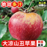 探味君 正宗大凉山丑苹果 当季时令新鲜水果四川冰糖心苹果红富士 生鲜 净重4.5-5斤 单果70mm-75mm