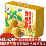 洛川苹果陕西延安红富士时令苹果水果礼盒礼品苹果生鲜新鲜脆甜整箱好吃 黄金维纳斯 15枚70mm优选 礼盒装