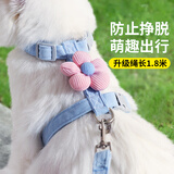 憨憨乐园猫绳猫咪牵引绳项圈防挣脱外出溜遛猫绳链子兔宠物胸背带项圈蓝s