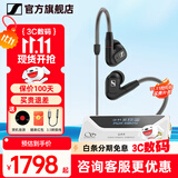 森海塞尔（Sennheiser）IE900/IE600/IE300旗舰级HIFI高保真超宽单动圈单元可拆卸MMCX挂耳式耳机 高保真发烧有线耳机耳塞 IE300+山灵UA4银色 便携耳放