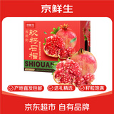 京鲜生 会理突尼斯软籽石榴6粒单果450g 中秋礼品 水果礼盒 源头直发