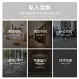 纤苏（qiansu）地毯客厅卧室办公室沙发书房入户床边毯定制专用