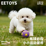 宜特（EETOYS）小号四星圆球狗狗发声玩具趣味互动洁齿训练陪伴解闷宠物用品