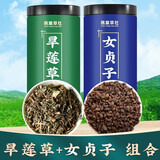 燕棠草社女贞子中药女真子可磨女贞子粉 旱莲草250g+女贞子250g