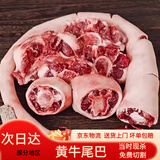 带皮牛尾巴整根原切黄牛新鲜现杀牛尾骨散养黄牛肉商用牛杂 5斤