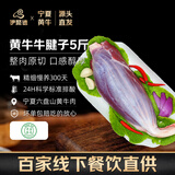 伊聚德 宁夏黄牛肉 生鲜牛里脊5斤嫩牛柳原切菲力烤肉烧烤火锅食材清真 5斤 新鲜牛里脊