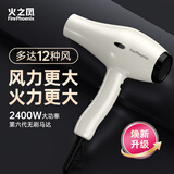 火之凤吹风机6600X 发廊专用大功率2400W大风力低噪音家用恒温护发不伤发 理发店专业电吹风筒家电 6600X米兰白 （四档风）