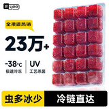 YEE冰冻红虫丰年虾牛心汉堡罗汉六角恐龙七彩孔雀鱼发财鱼饲料鱼鱼食 小红虫5板(喂食镊+化冰盒)