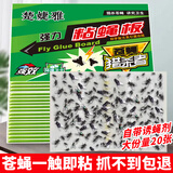楚婕雅苍蝇贴强力粘蝇纸驱赶神器家用灭蚊蝇粘虫板强力诱捕器粘蝇板20张
