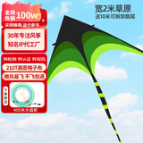 爱吃鱼（aichiyu）大草原风筝儿童成人大型风筝潍坊风筝男女孩风筝户外亲子玩具礼物