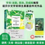 克林索尔的最后夏天 （刷边典藏精装版） 诺贝尔文学奖得主黑塞经典作品  小说精选集