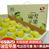 洛川苹果陕西延安特产红富士时令苹果水果礼盒送苹果生鲜新鲜脆甜整箱批发 【新品】瑞雪15个75mm心选礼盒装