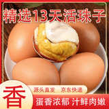 晨诚活珠蛋40枚3.2斤 五香味 新鲜13天鸡胚蛋 毛鸡蛋钢化蛋 源头直发 