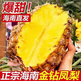 悦己海南凤梨新鲜香甜小菠萝应季热带水果 孕妇水果现摘现发  凤梨8.5-9斤装（4-6个中果）