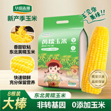 华田禾邦东北黄糯玉米3.52~4斤（220g*8根）新鲜甜黏玉米粒 早餐苞米