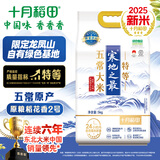 十月稻田 25年新米 限定龙凤山产区 限量发售 绿色特等五常大米 10斤