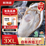鲜海道【品质】鲜海道生态生蚝  乳山牡蛎 活鲜海蛎子生鲜贝类 品质升级3XL净重4斤（10-15只）
