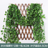 正八 假花藤条仿真葡萄叶装饰藤条树叶绿植物壁挂管道遮挡屋吊顶藤蔓 12条装81片绿萝叶