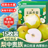 京地达梨子山东玉露香梨雪梨梨子精品水果礼盒净重9斤单果300g+源头直发