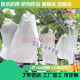 葡萄套袋葡萄专用套袋育果袋纸袋葡萄袋子防水防菌葡萄袋防虫袋 19*26厘米套半斤葡萄【20个】
